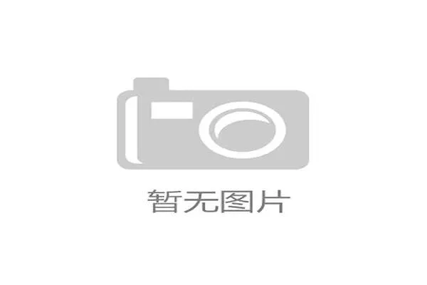 世界武术锦标赛：传统与现代的结合